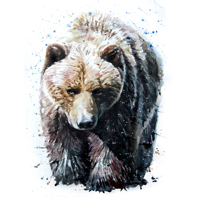 Watercolor painting of a brown bear with a splattered background.