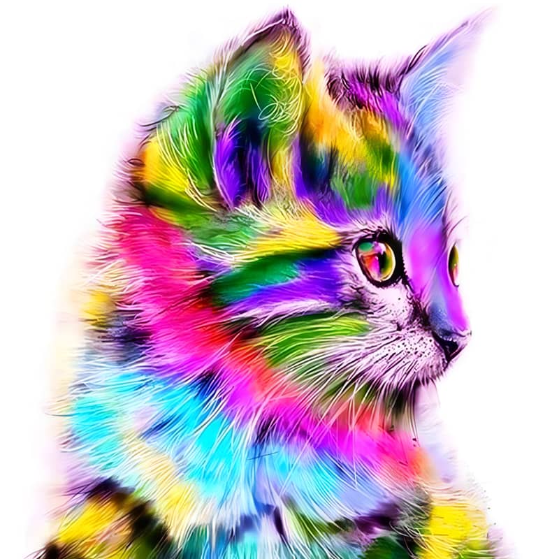 Vibrant multicolored kitten illustration against a white background.