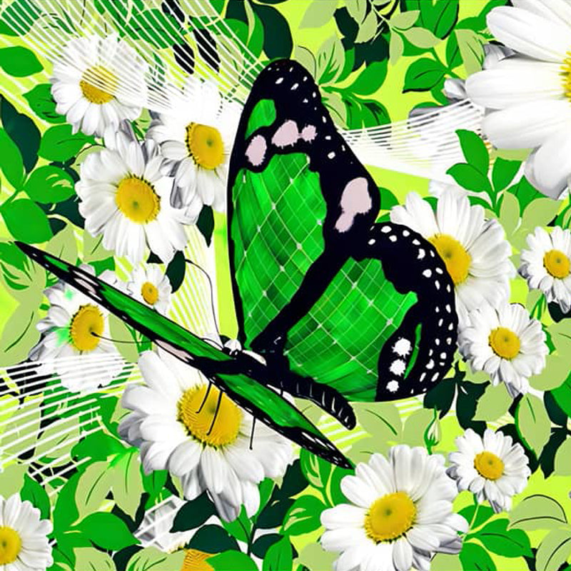 Green butterfly on a field of white daisies with vibrant green leaves in the background.