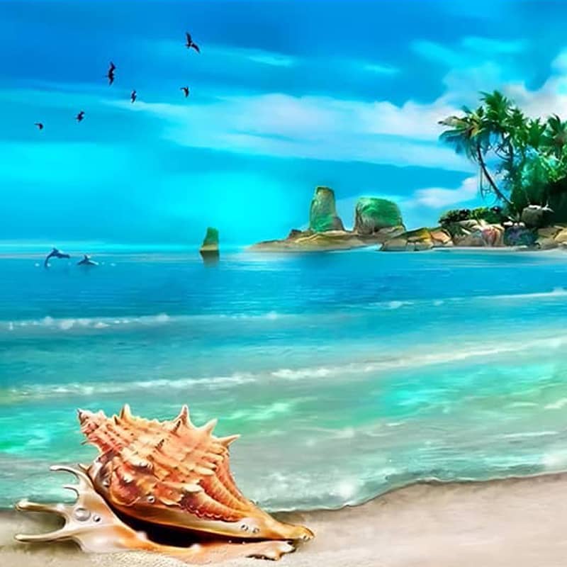 Scenic tropical beach with a large seashell, clear blue waters, and birds flying in the sky.
