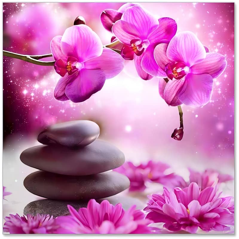 "Vibrant pink orchids with zen stones and sparkling background, creating a serene and calming atmosphere."