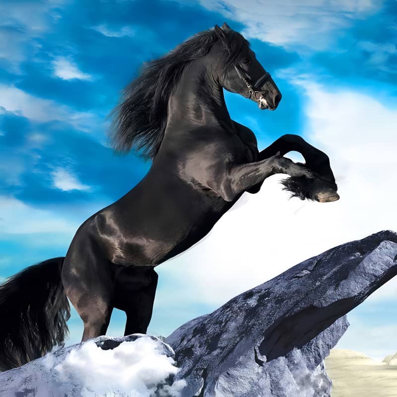 Majestic black horse rearing on a rocky cliff with a vibrant blue sky in the background.