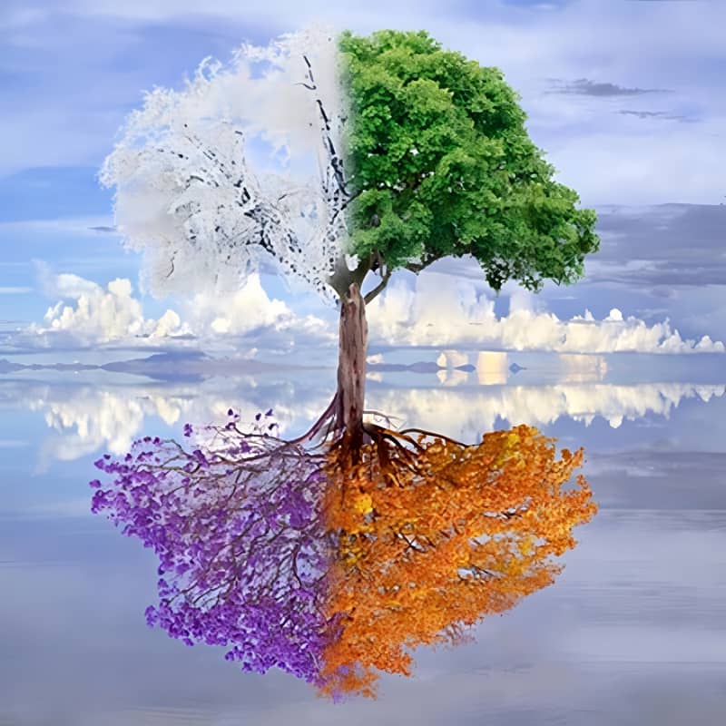 Tree depicting four seasons with green, orange, purple, and white foliage reflected in calm water, under a cloudy sky.