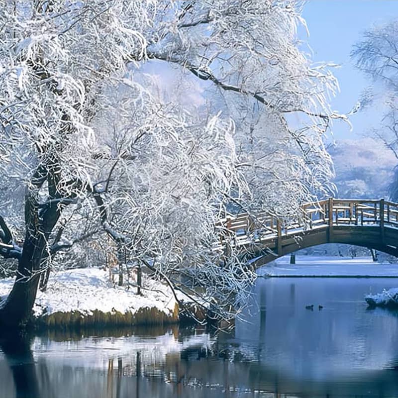 Snow-covered bridge over a serene, icy pond with frosty trees in a winter landscape.