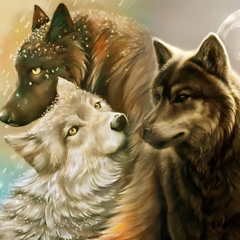Three wolves with different fur colors in a mystical forest setting.