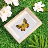 Butterfly Dreams, Set of 12 — Mini Diamond Painting Set, product view 3