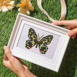 Butterfly Dreams, Set of 12 — Mini Diamond Painting Set, product view 7