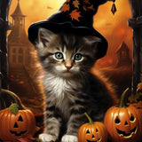 Kitten with hat, Halloween — Diamond Painting Kit design