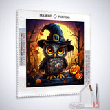 Owl with pumpkin — Diamond Painting Kit, product view 2