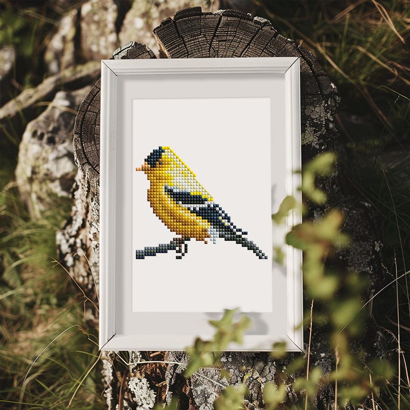 Birdwatching Collection, Set of 12 — Mini Diamond Painting Set, product view 12