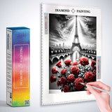 Eiffel Tower with Roses — Diamond Painting Kit, product view 3