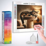 A Cat's Peaceful Sunbath — Diamond Painting Kit, product view 3