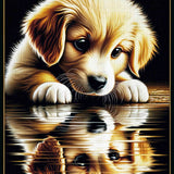 Goldenretriver reflection — Diamond Painting Kit design