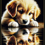 Goldenretriver reflection — Diamond Painting Kit design