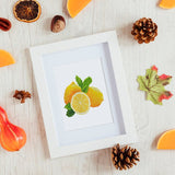 Fruit Basket Collection, Set of 12 — Mini Diamond Painting Set, product view 4