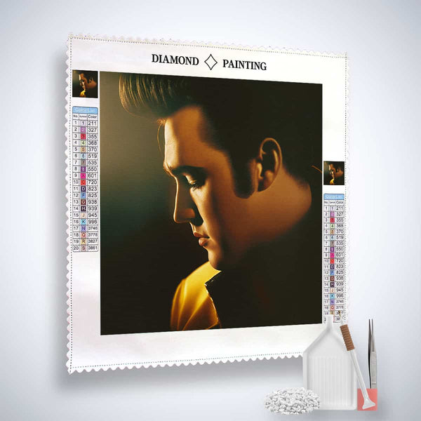Elvis, the king of rock'n'roll — Diamond Painting Kit, product view 2