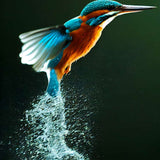 Kingfisher out of the water — Diamond Painting Kit design