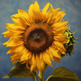 Sunflower Dance — Diamond Painting Kit design