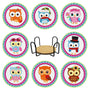 Owls — Diamond Painting Coaster Set design
