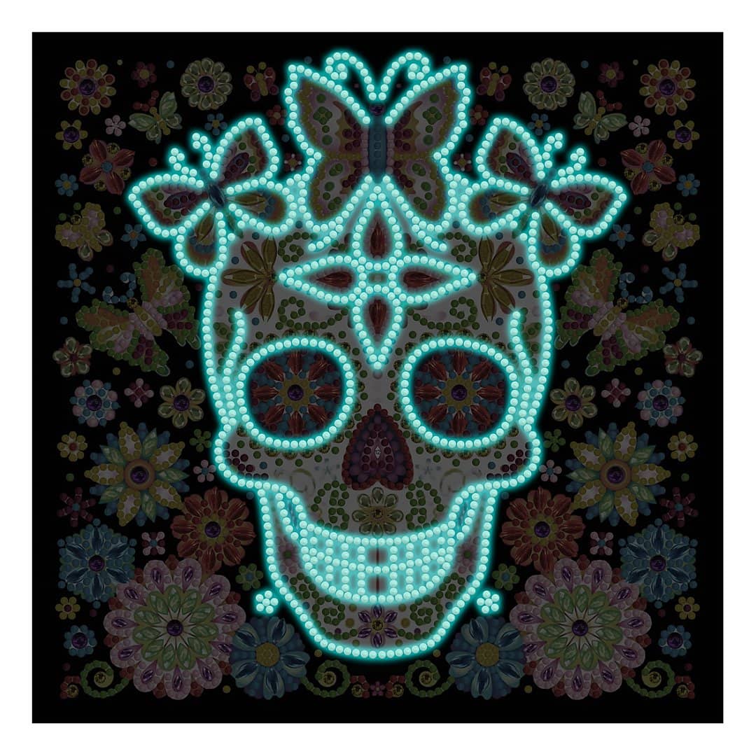 Butterflies with skull — Glow-in-the-Dark Diamond Painting Kit, product view 3