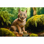 Lynx child in the forest — Diamond Painting Kit design