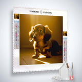 Dachshund in the sunshine — AB Diamond Painting Kit, product view 2