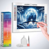 A Pair of Snowy Owls — Diamond Painting Kit, product view 2