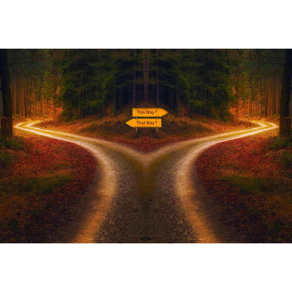 Fork in the road — Diamond Painting Kit design