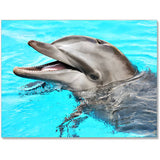 The Dolphin — Diamond Painting Kit design
