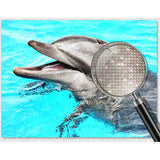 The Dolphin — Diamond Painting Kit, product view 4