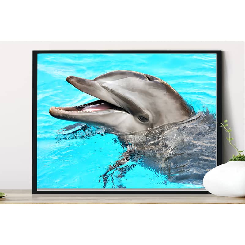 The Dolphin — Diamond Painting Kit, product view 5