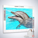 The Dolphin — Diamond Painting Kit, product view 2