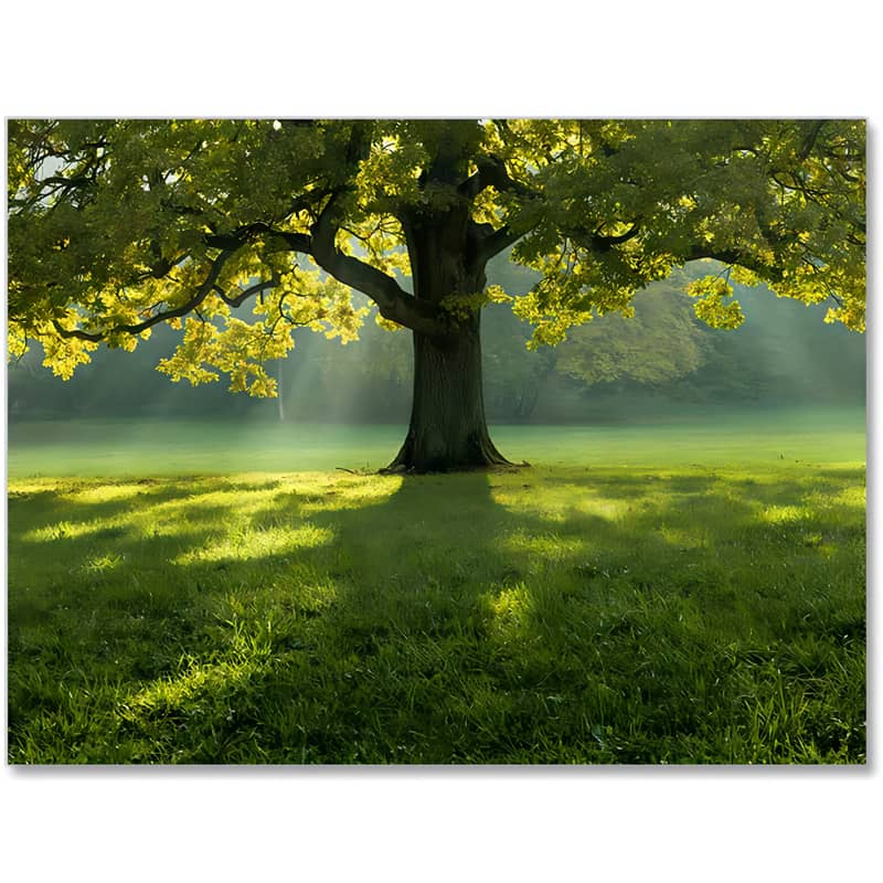 Magnificent green — Diamond Painting Kit design
