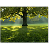 Magnificent green — Diamond Painting Kit design
