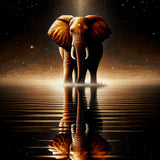 Mirror image, Elephant — Diamond Painting Kit design