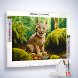 Lynx child in the forest — Diamond Painting Kit, product view 2