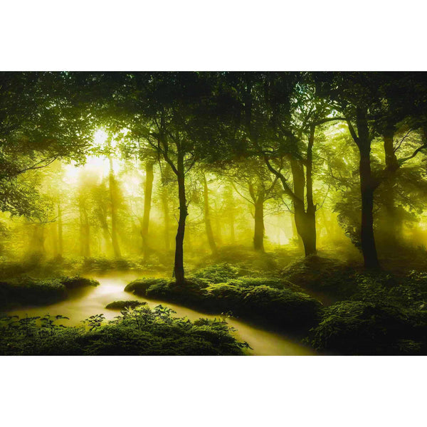 River in green forest — Diamond Painting Kit design