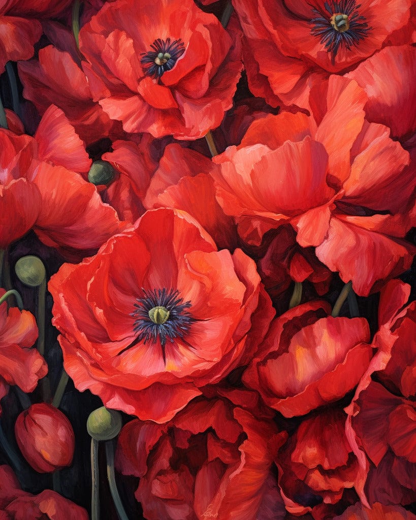 A bouquet of red poppies